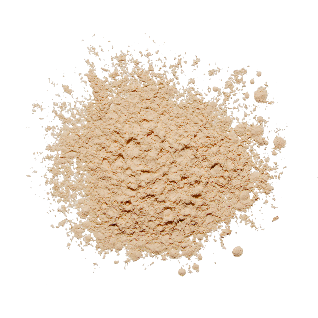FinishShield Powder SPF 30 — universal-tint mineral powder texture swatch